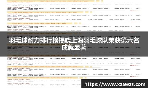 羽毛球耐力排行榜揭晓上海羽毛球队荣获第六名成就显著