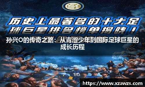 jn体育官网