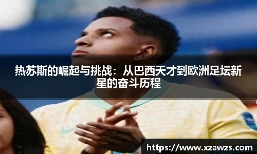jn体育官网