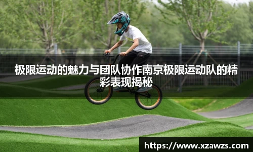 N江南.体育